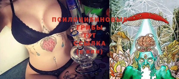 mdpv Медногорск