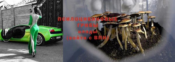 mdpv Медногорск