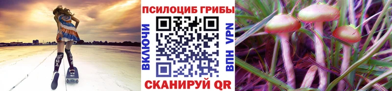 kraken tor  Канаш  Псилоцибиновые грибы ЛСД  продажа наркотиков 