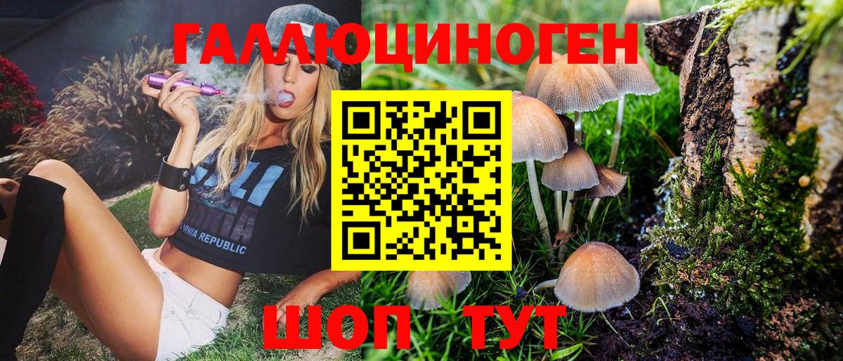 Псилоцибиновые грибы Psilocybe Канаш