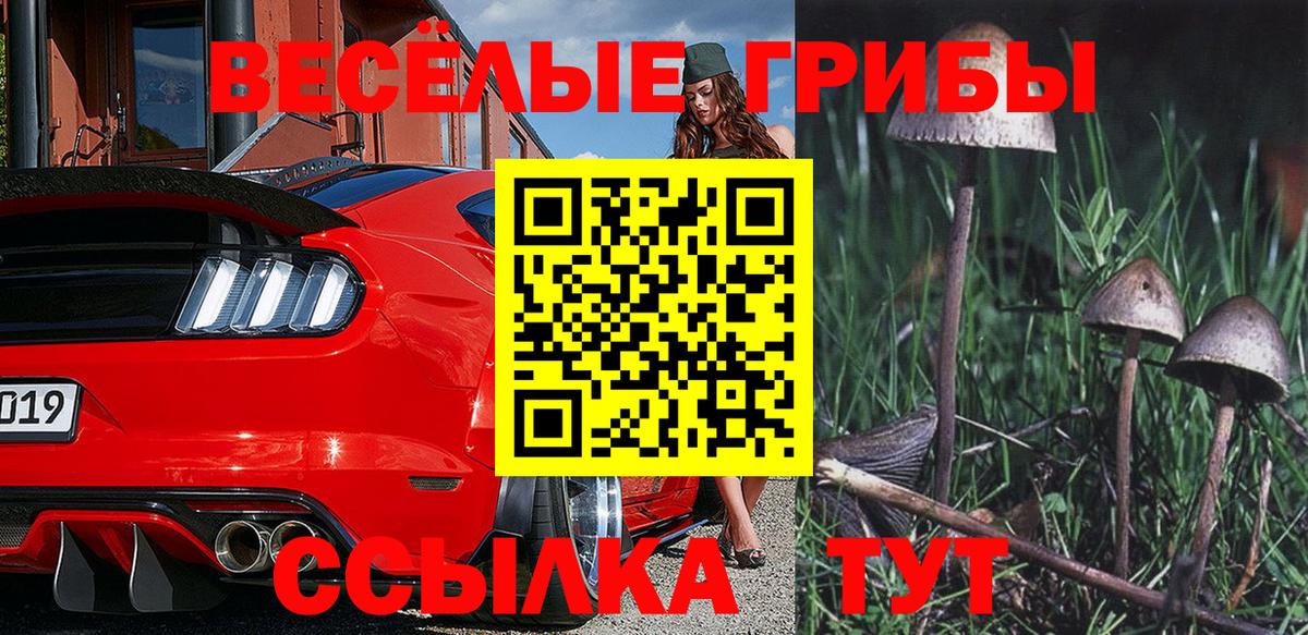 Псилоцибиновые грибы ЛСД  Вход с VPN  Канаш 