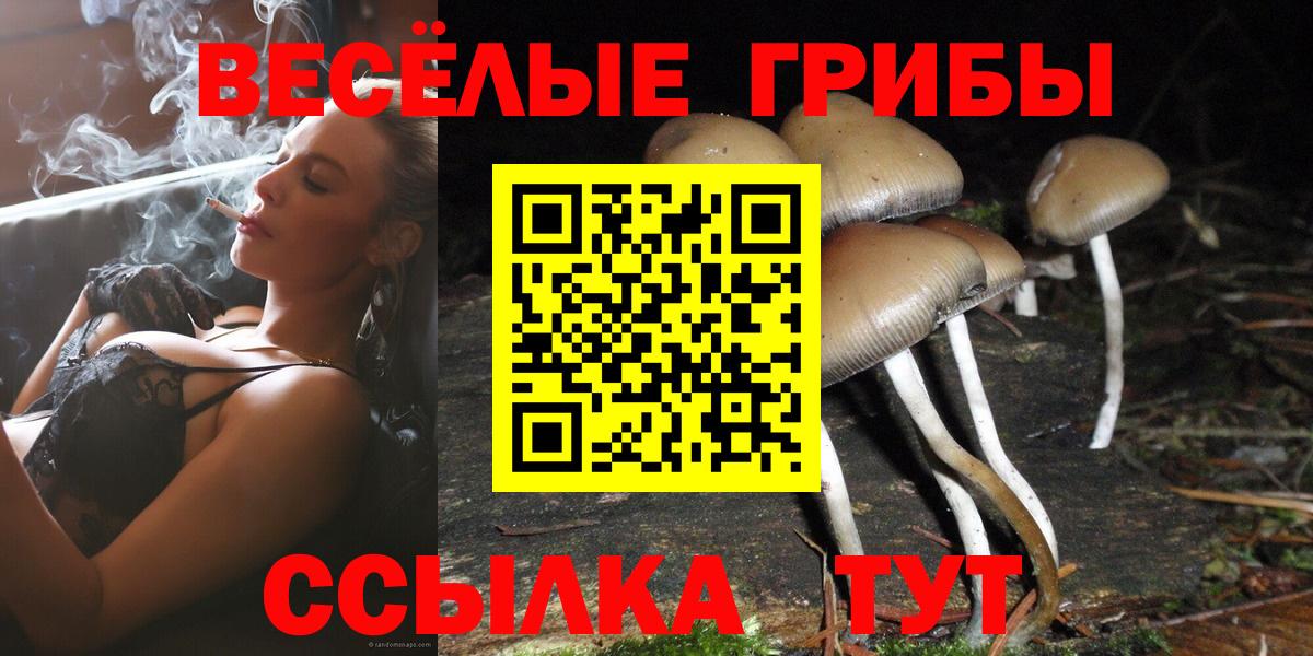 Галлюциногенные грибы GOLDEN TEACHER  Канаш  как найти закладки  Псилоцибиновые грибы MAGIC MUSHROOMS 