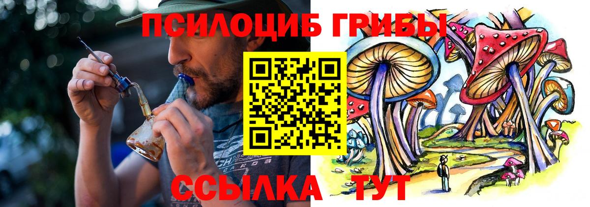 Псилоцибиновые грибы Magic Shrooms Канаш