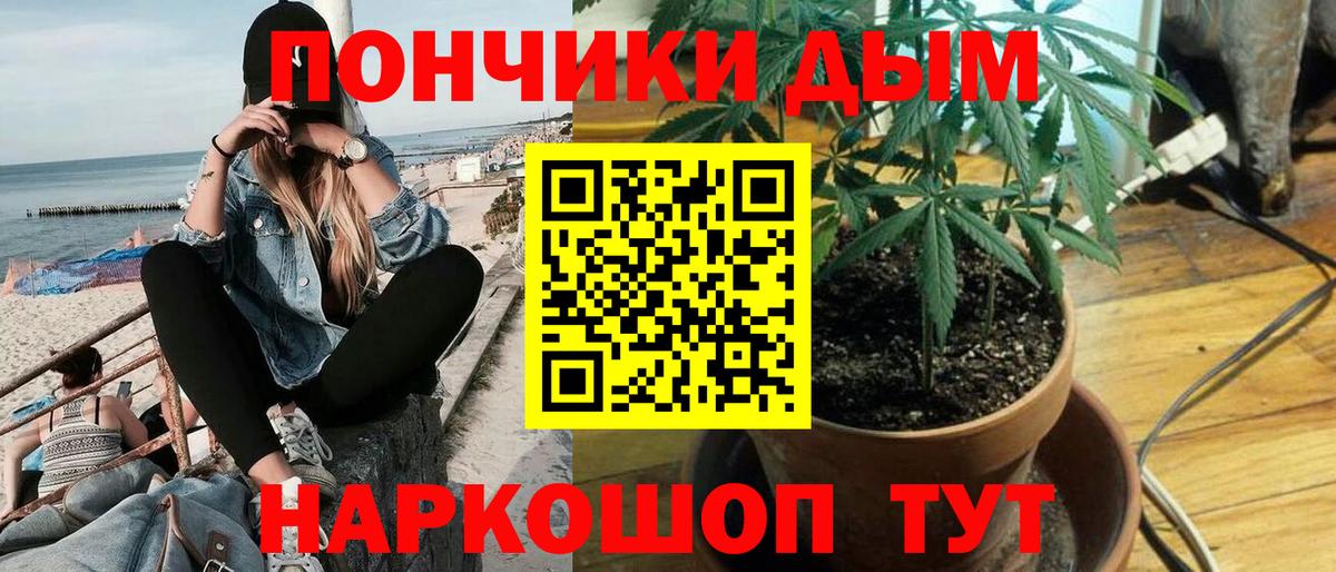 Бошки марихуана Ganja Канаш